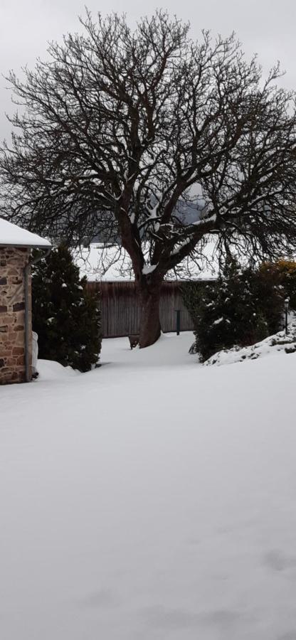 Hotel La Ferme Berger Les Ardillats Esterno foto