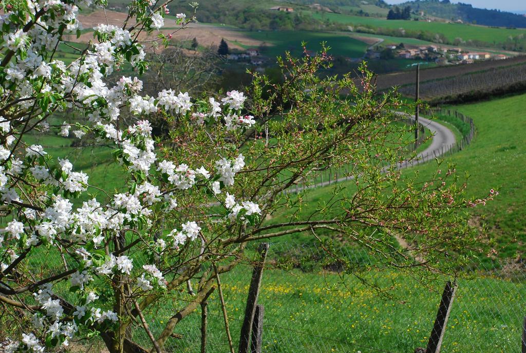 Hotel La Ferme Berger Les Ardillats Esterno foto